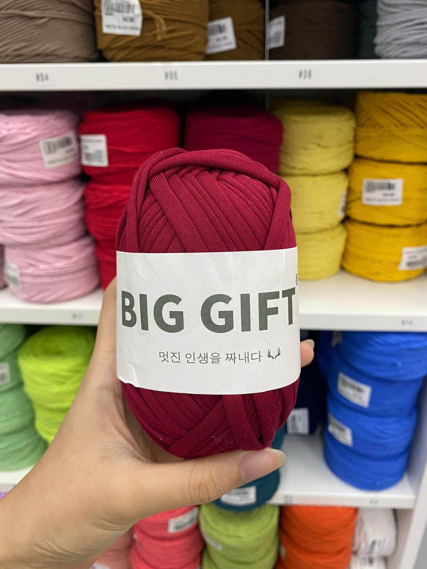 BIG GIFT: T-Shirt Yarn