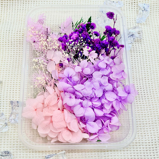 Preserved Floral Kit: Lavender Haze