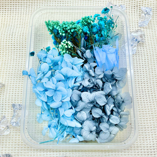 Preserved Floral Kit: Midnight Meadow