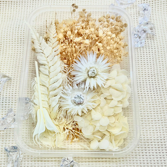 Preserved Floral Kit: Dust & Bloom