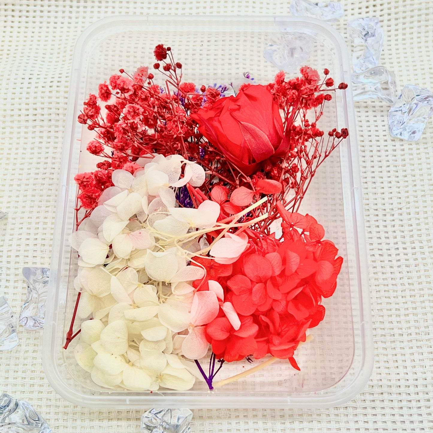 Preserved Floral Kit: Wild Scarlet