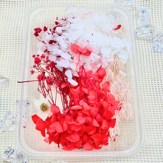 Preserved Floral Kit: Crimson Crush
