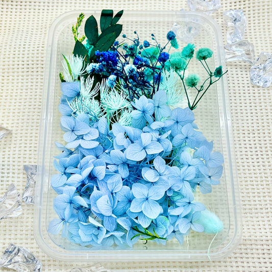 Preserved Floral Kit: Frosted Sky
