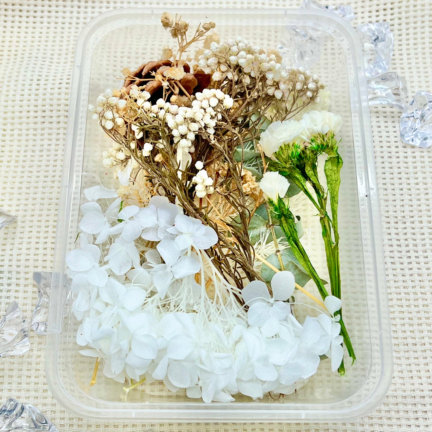 Preserved Floral Kit: Oat Petal