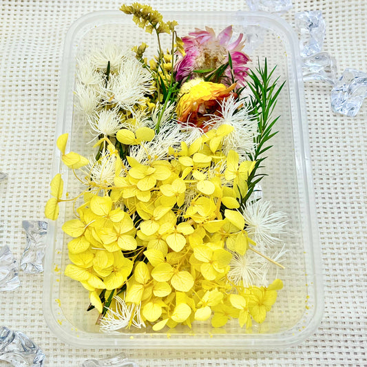 Preserved Floral Kit: Golden Joy