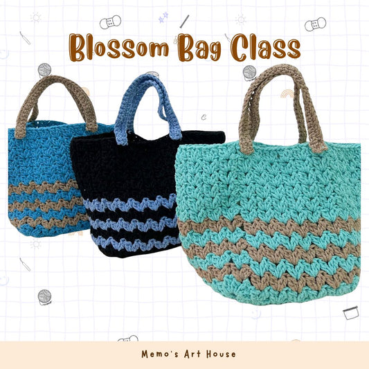 Beginner's Bag Class