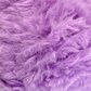 Warm & Glow - Calliandra Bliss | Faux Mink