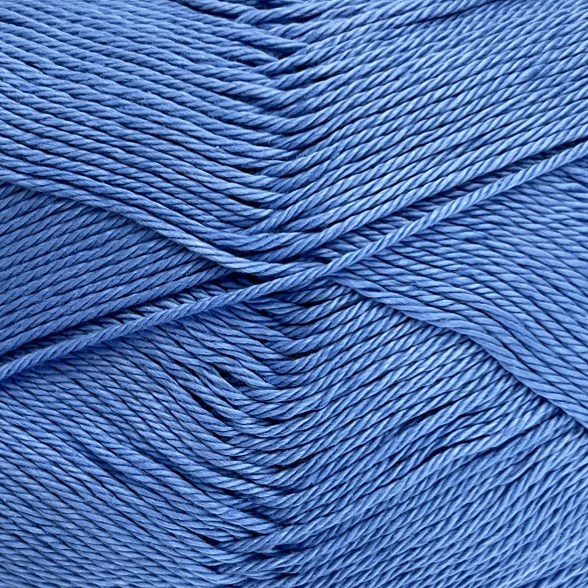 Warm & Glow - Bluebell Joy