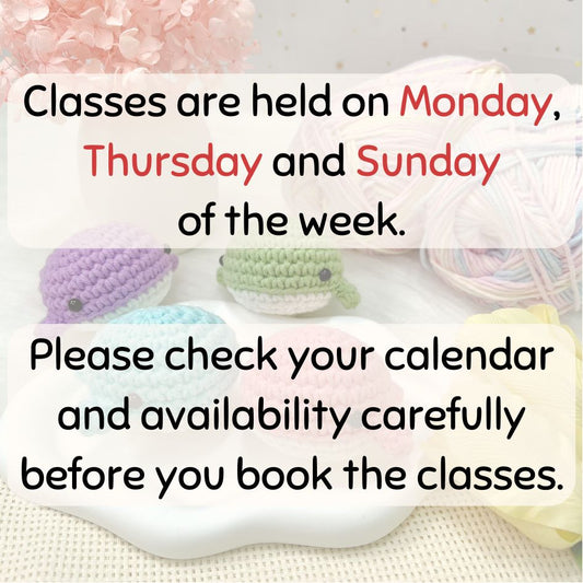 Beginner's Amigurumi Class