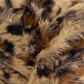 Warm & Glow - Calliandra Bliss | Faux Mink