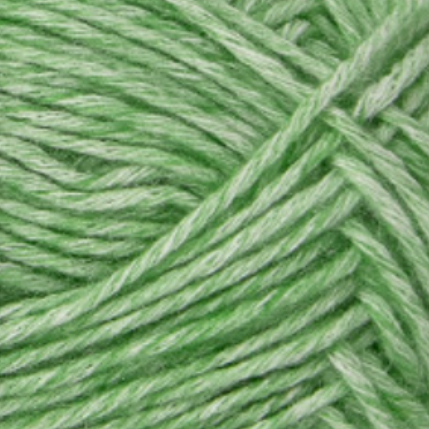 Warm & Glow - Celosia Hope | Stonewashed DK