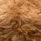 Warm & Glow - Calliandra Bliss | Faux Mink