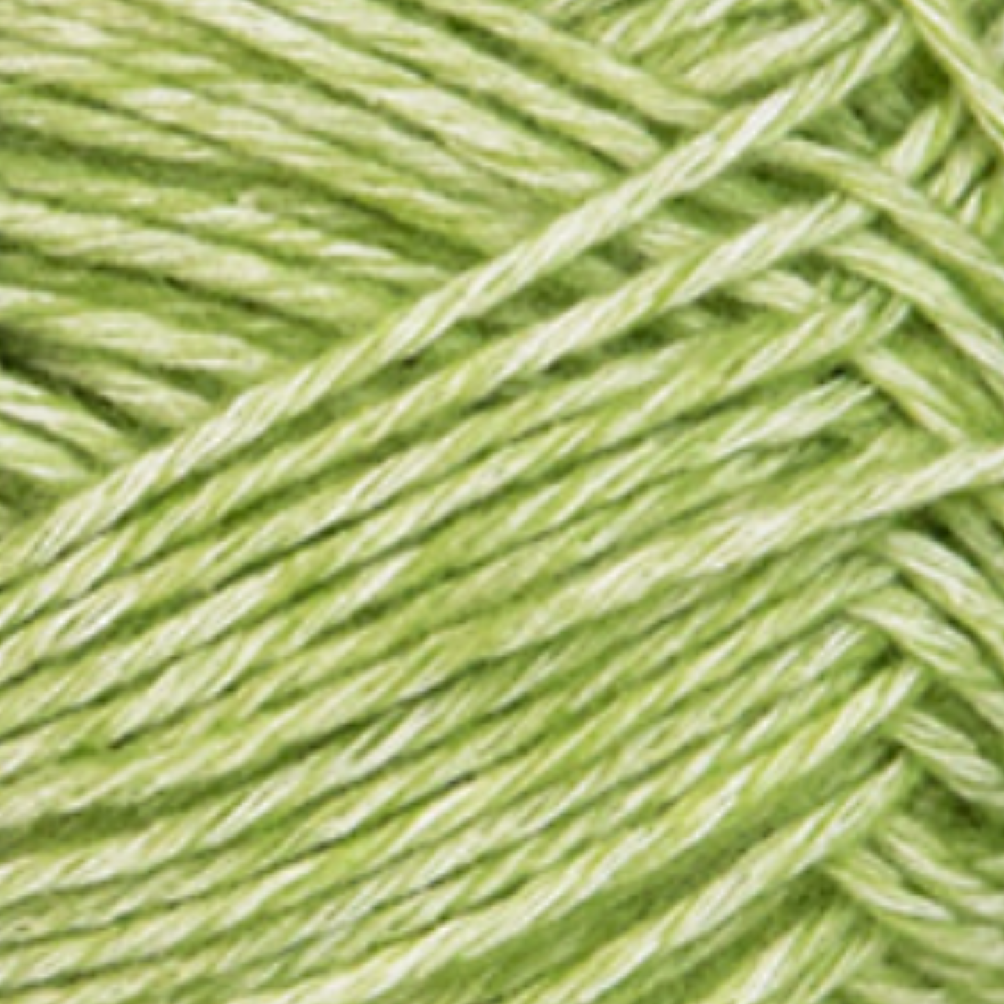 Warm & Glow - Celosia Hope | Stonewashed DK