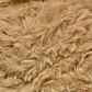 Warm & Glow - Calliandra Bliss | Faux Mink