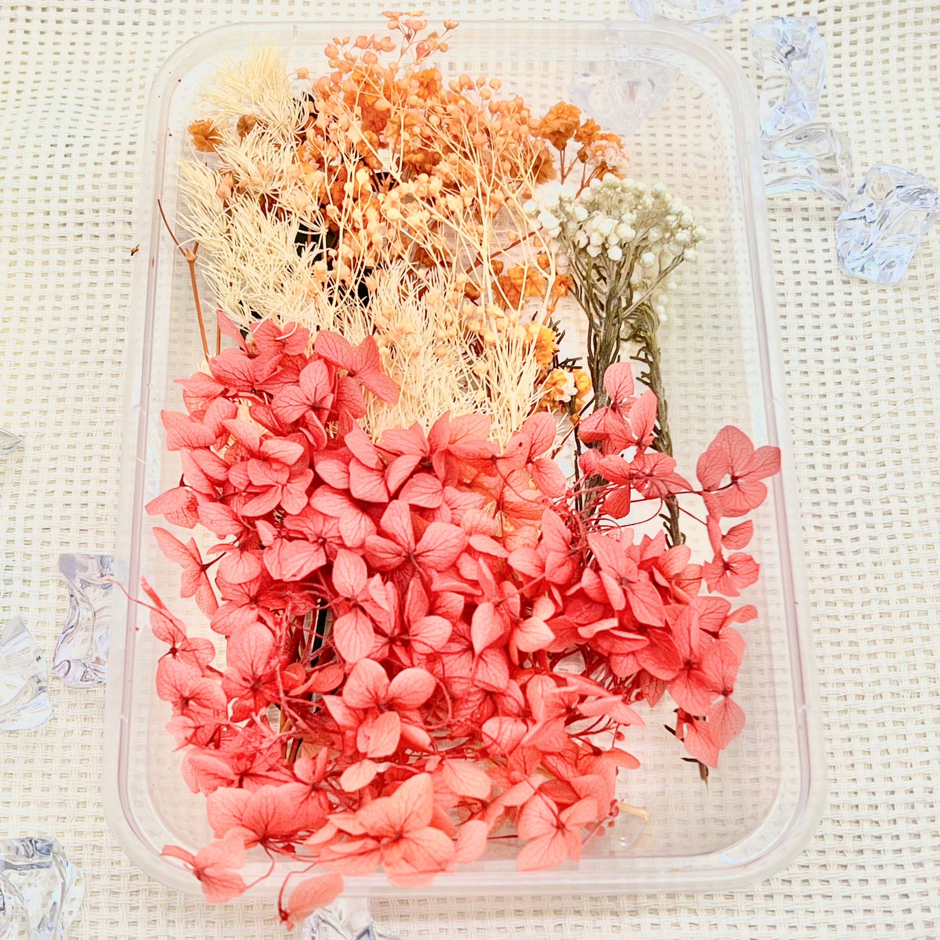 Preserved Floral Kit: Apricot Glow – Memo's Art House