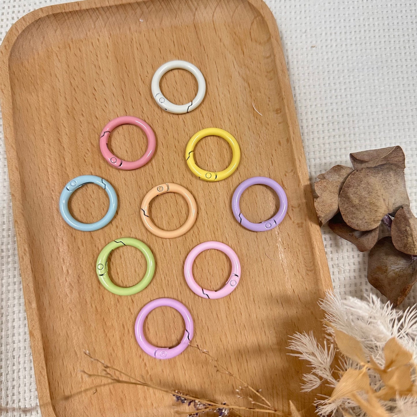 Round Clasp Keyring (Assorted Pastel Colors, Pack of 10)