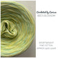 CBC Yarn - Mix